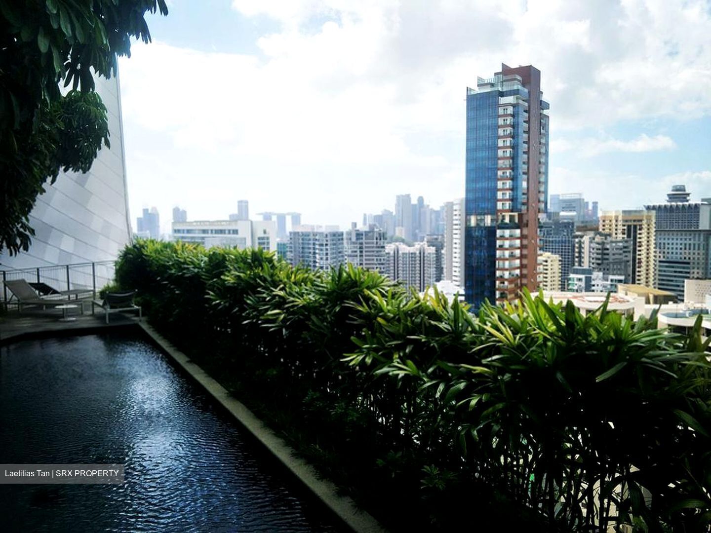 The Scotts Tower (D9), Condominium #396822901